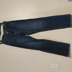 American Eagle Low Rise Baggy Striaght Jeans size 6